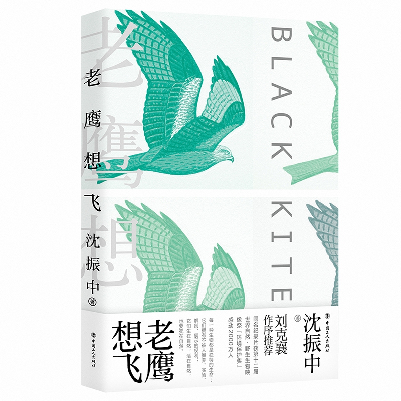 老鹰想飞