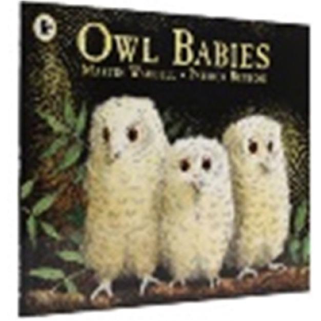 OWL BABIES