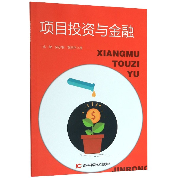 项目投资与金融
