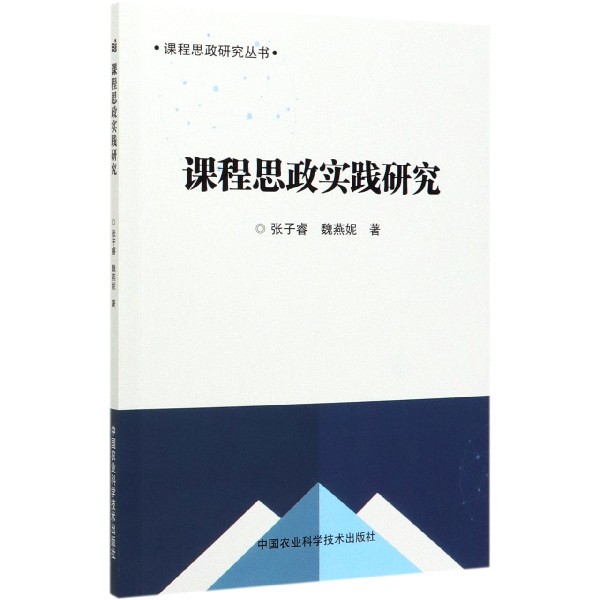 课程思政实践研究/课程思政研究丛书