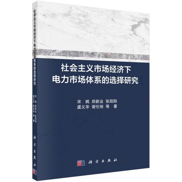 社会主义市场经济下电力市场体系的选择研究