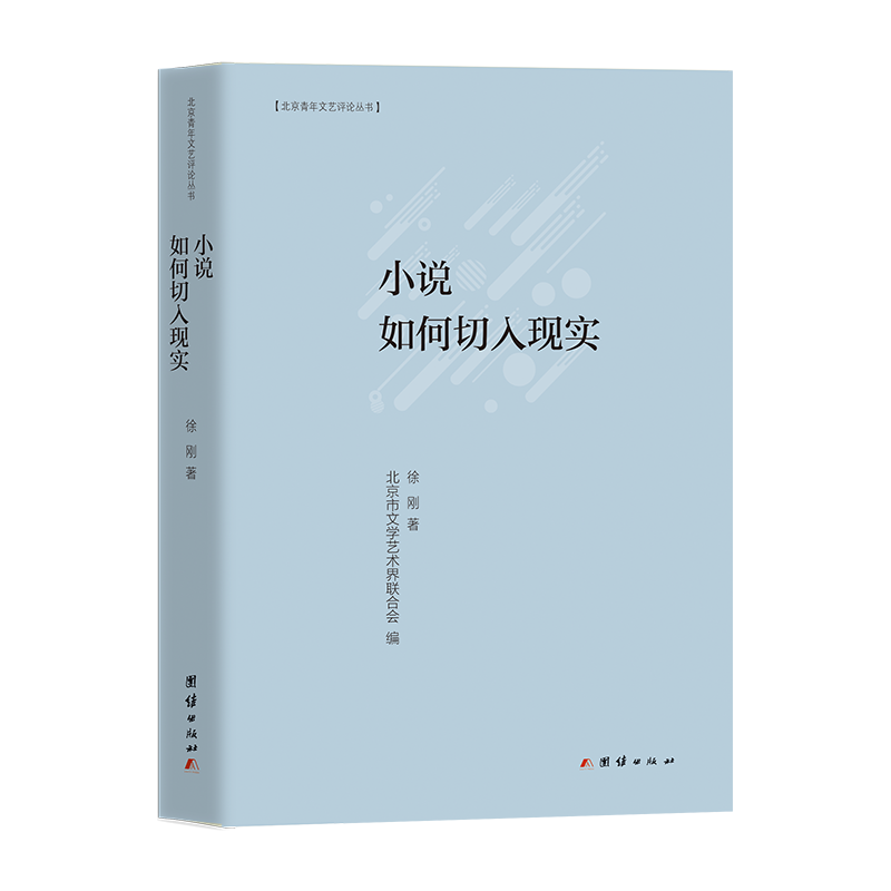 小说如何切入现实