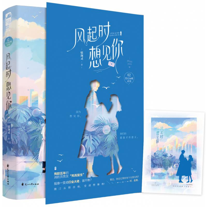 风起时想见你