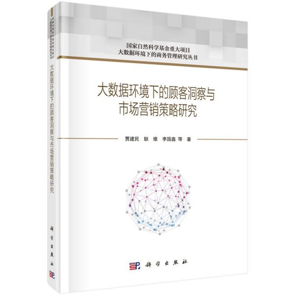 大数据环境下的顾客洞察与市场营销策略研究/大数据环境下的商务管理研究丛书