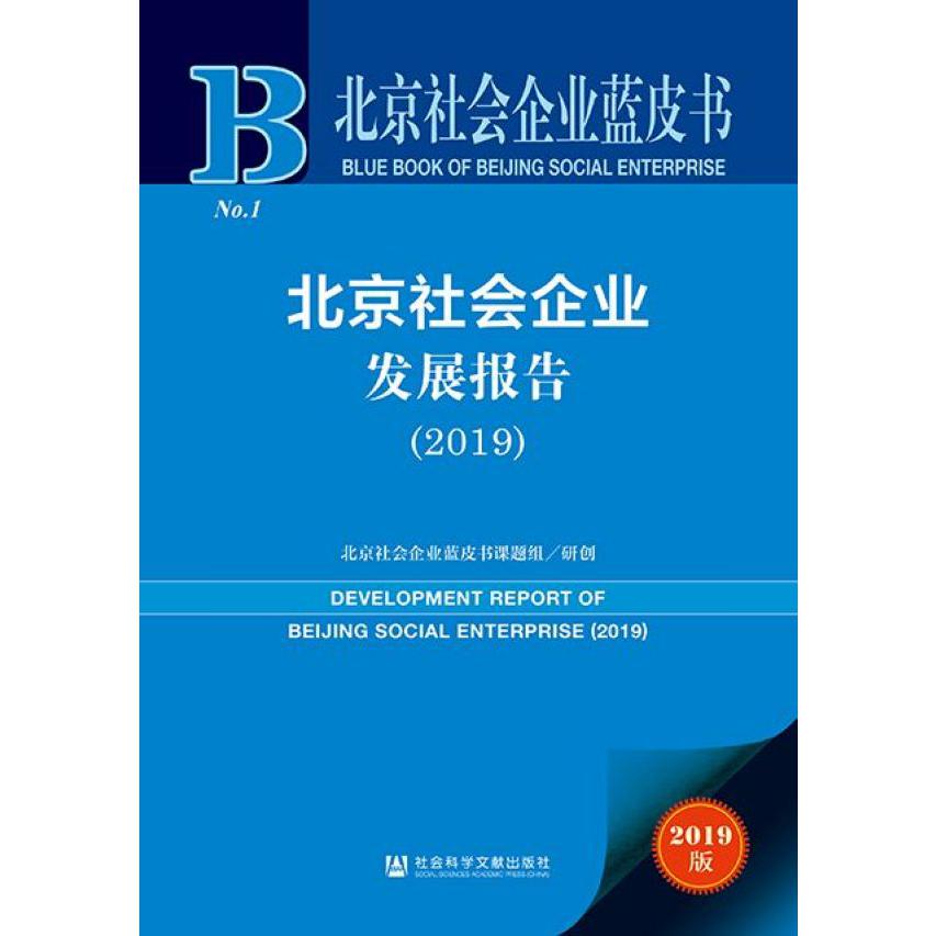 北京社会企业发展报告(2019)/北京社会企业蓝皮书