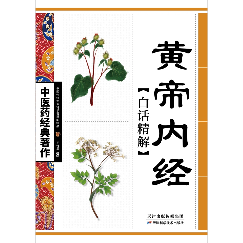 黄帝内经白话精解