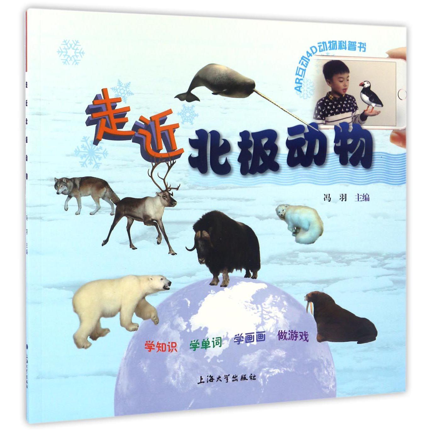 走进北极动物