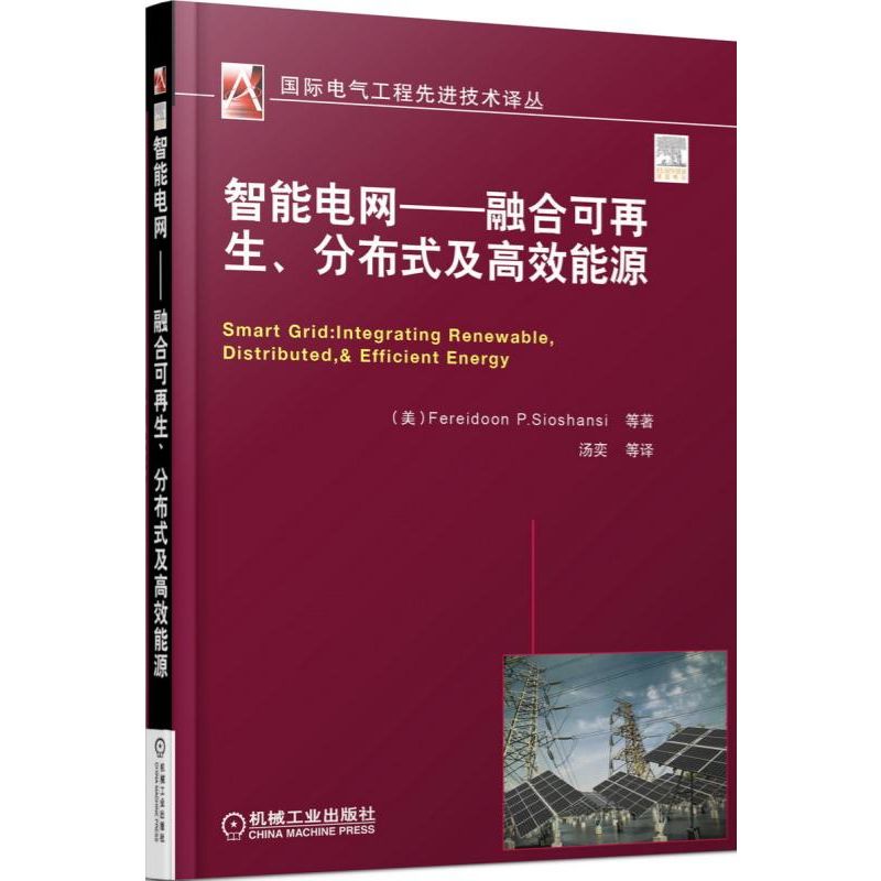 智能电网--融合可再生分布式及高效能源/国际电气工程先进技术译丛