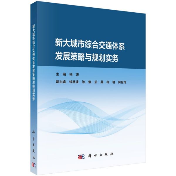 新大城市综合交通体系发展策略与规划实务