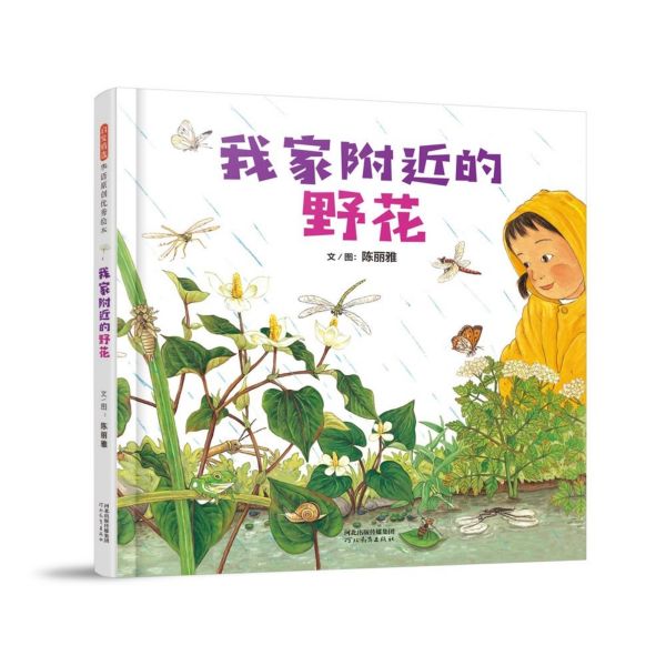 我家附近的野花(精)