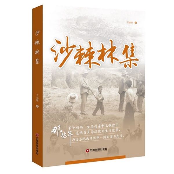 沙棘林集