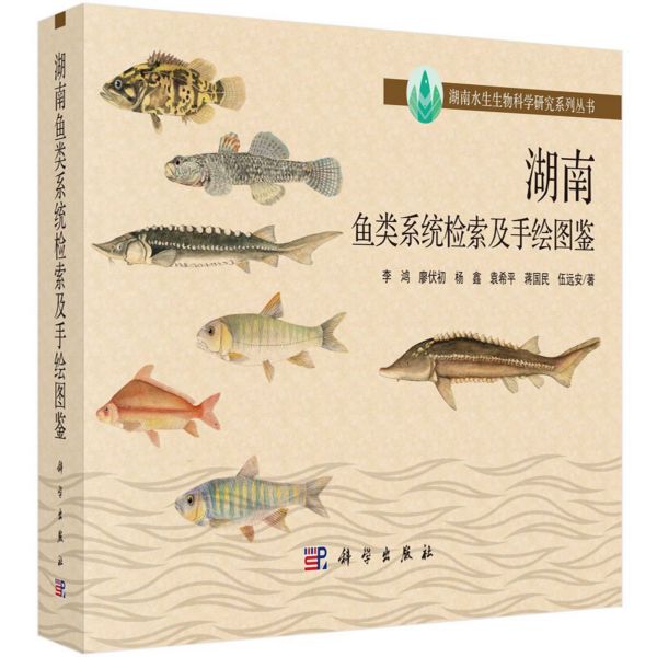 湖南鱼类系统检索及手绘图鉴/湖南水生生物科学研究系列丛书