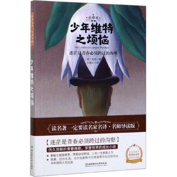 少年维特之烦恼(全译本)