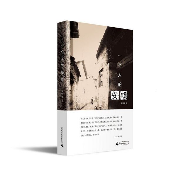 一个人的安顺(精)
