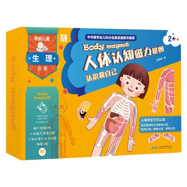 人体认知磁力拼图(2+)