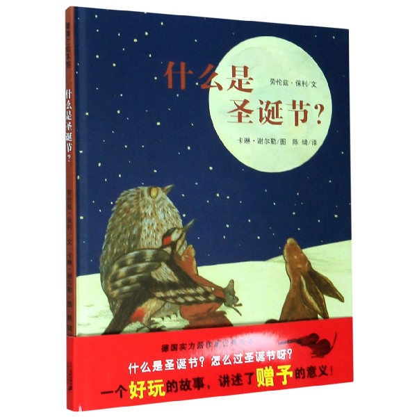 什么是圣诞节(精)