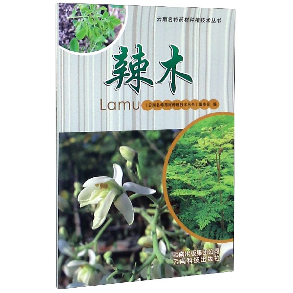 辣木/云南名特药材种植技术丛书