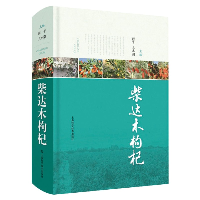 柴达木枸杞（精）