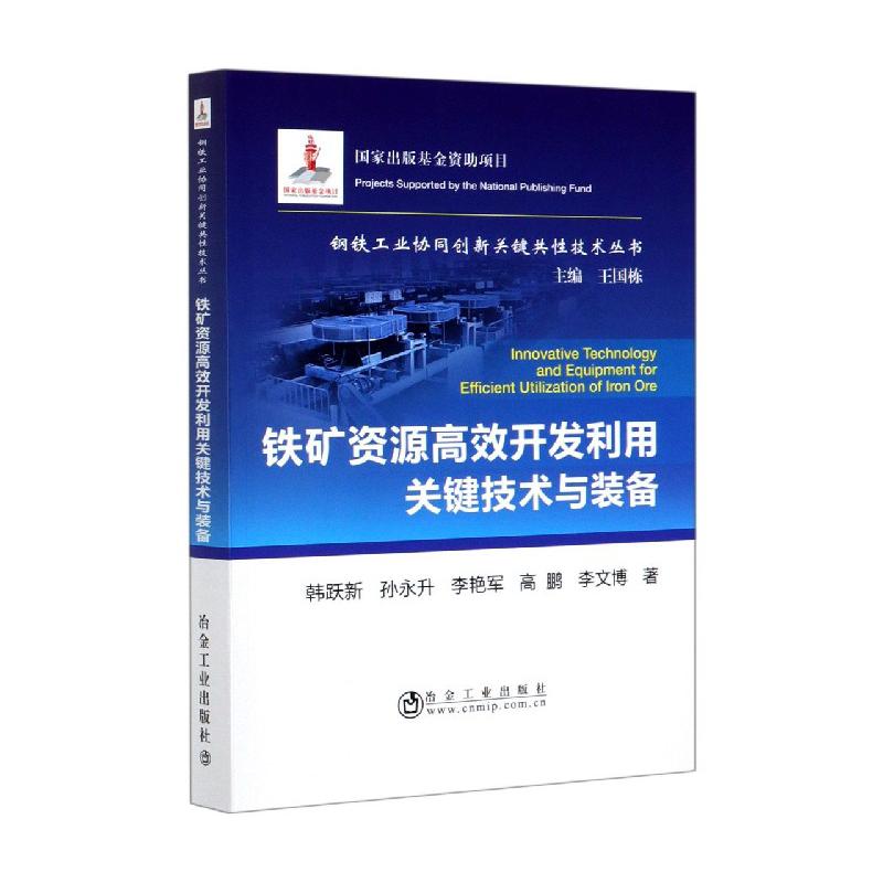 铁矿资源高效开发利用关键技术与装备/钢铁工业协同创新关键共性技术丛书