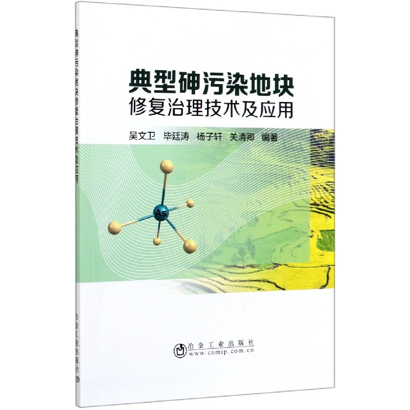 典型砷污染地块修复治理技术及应用