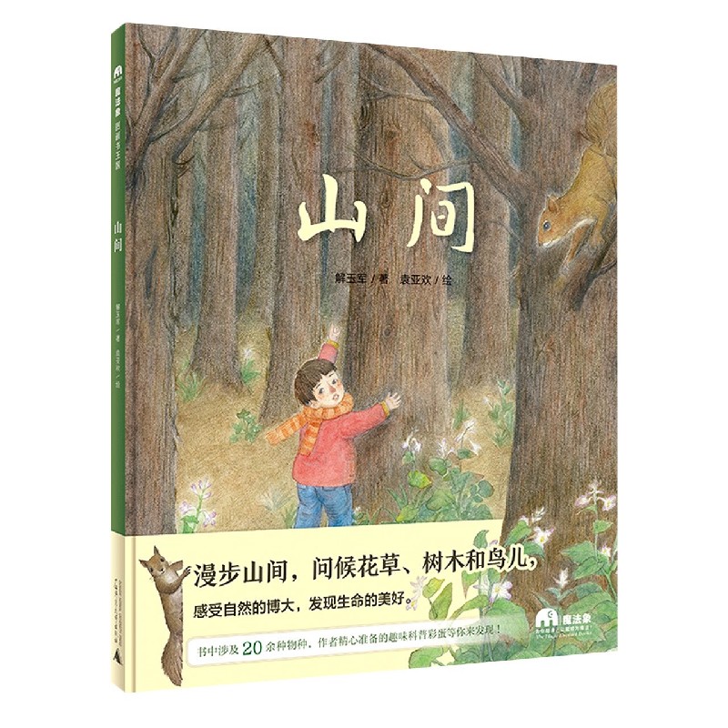 山间（精）