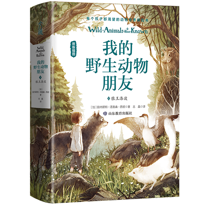 我的野生动物朋友（2狼王洛波原版插图）
