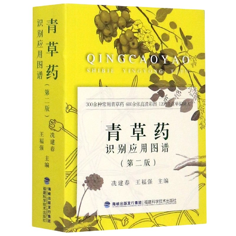 青草药识别应用图谱（第2版）