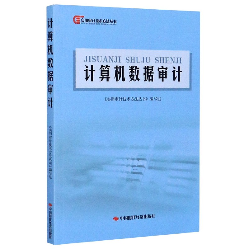 计算机数据审计/实用审计技术方法丛书