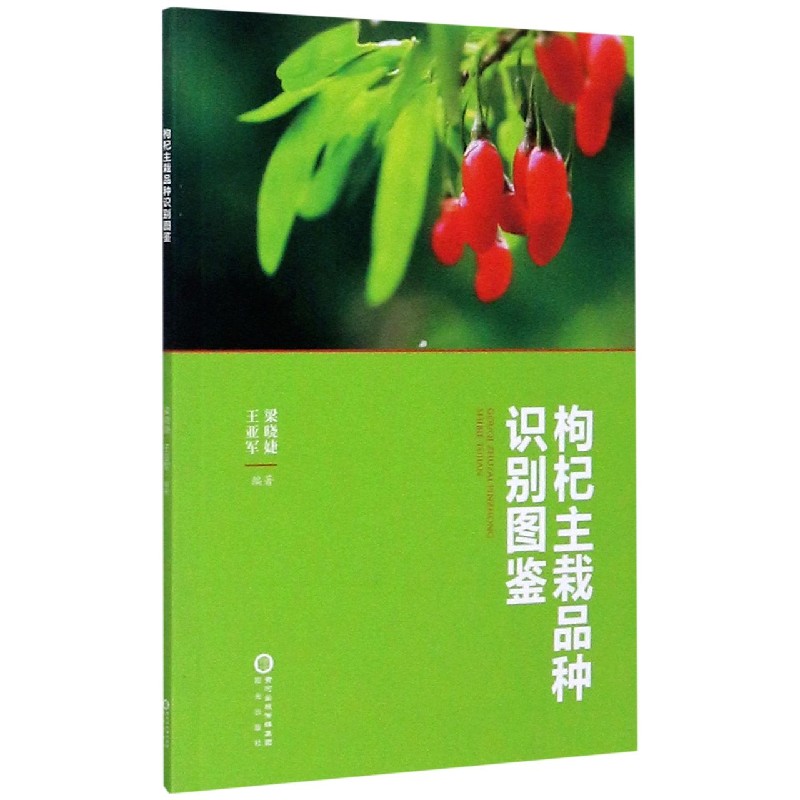 枸杞主栽品种识别图鉴