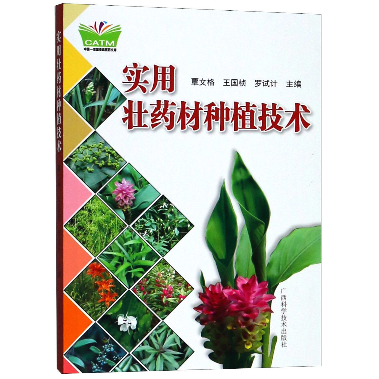 实用壮药材种植技术/中国-东盟传统医药文库