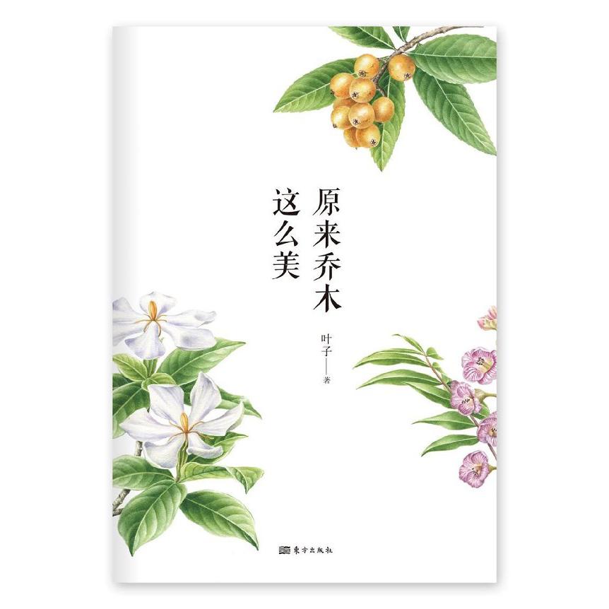 原来乔木这么美