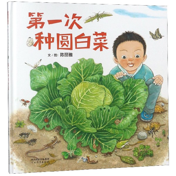 第一次种圆白菜(精)