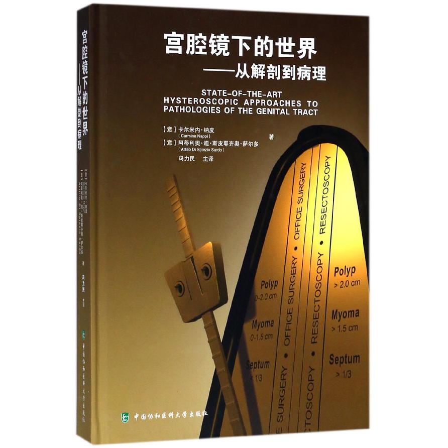 宫腔镜下的世界--从解剖到病理（精）