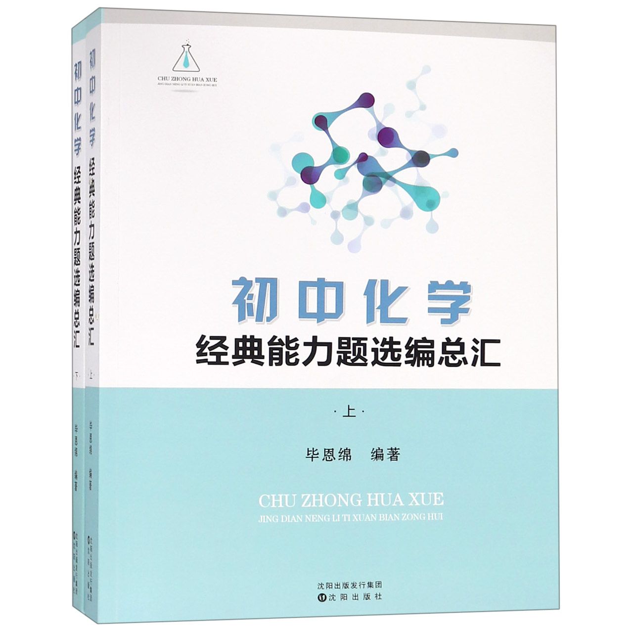 初中化学经典能力题选编总汇（上下）