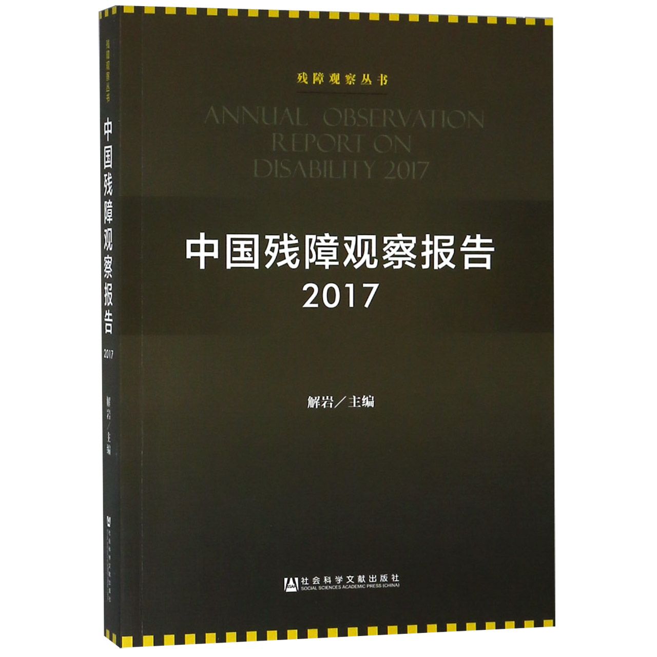 中国残障观察报告（2017）/残障观察丛书