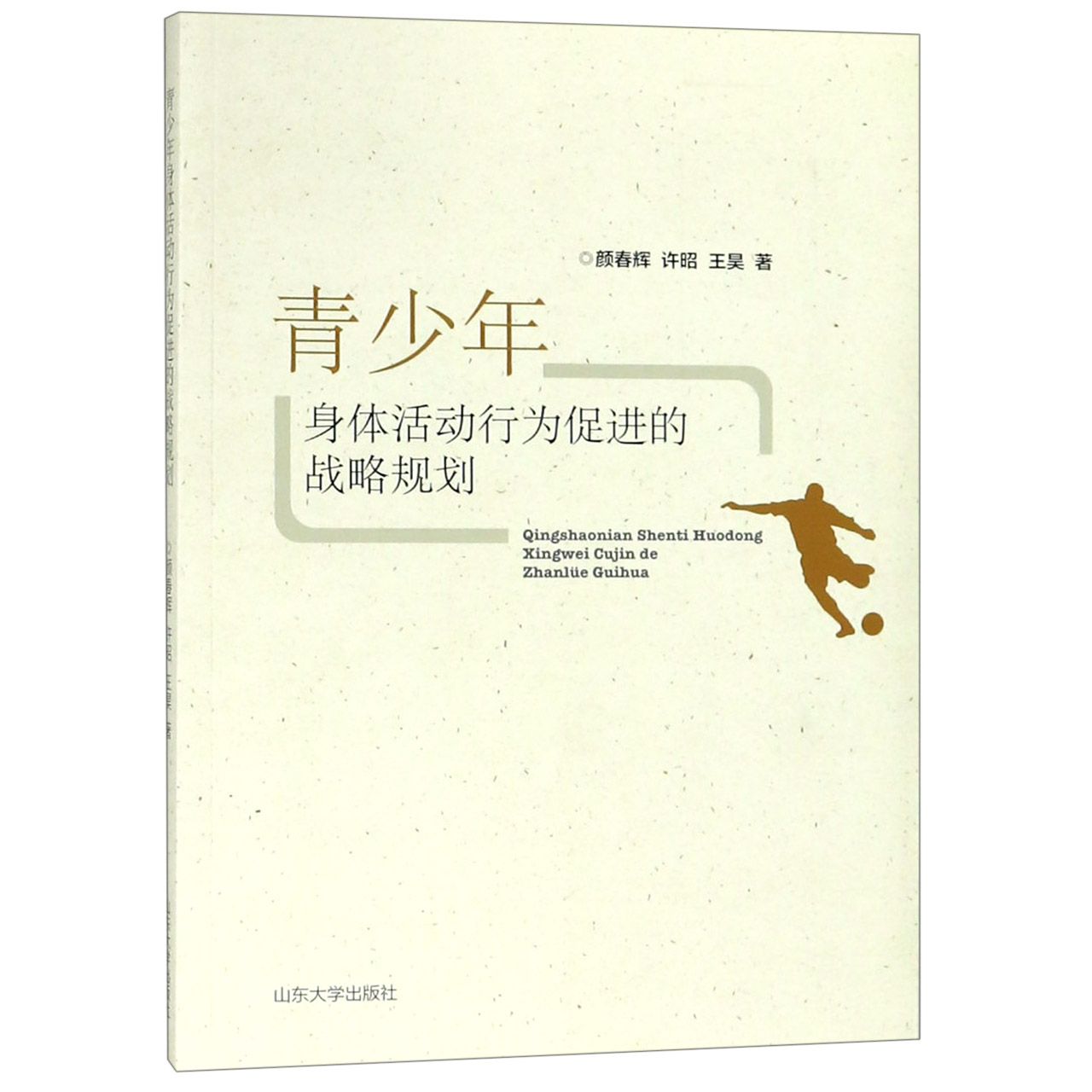 青少年身体活动行为促进的战略规划