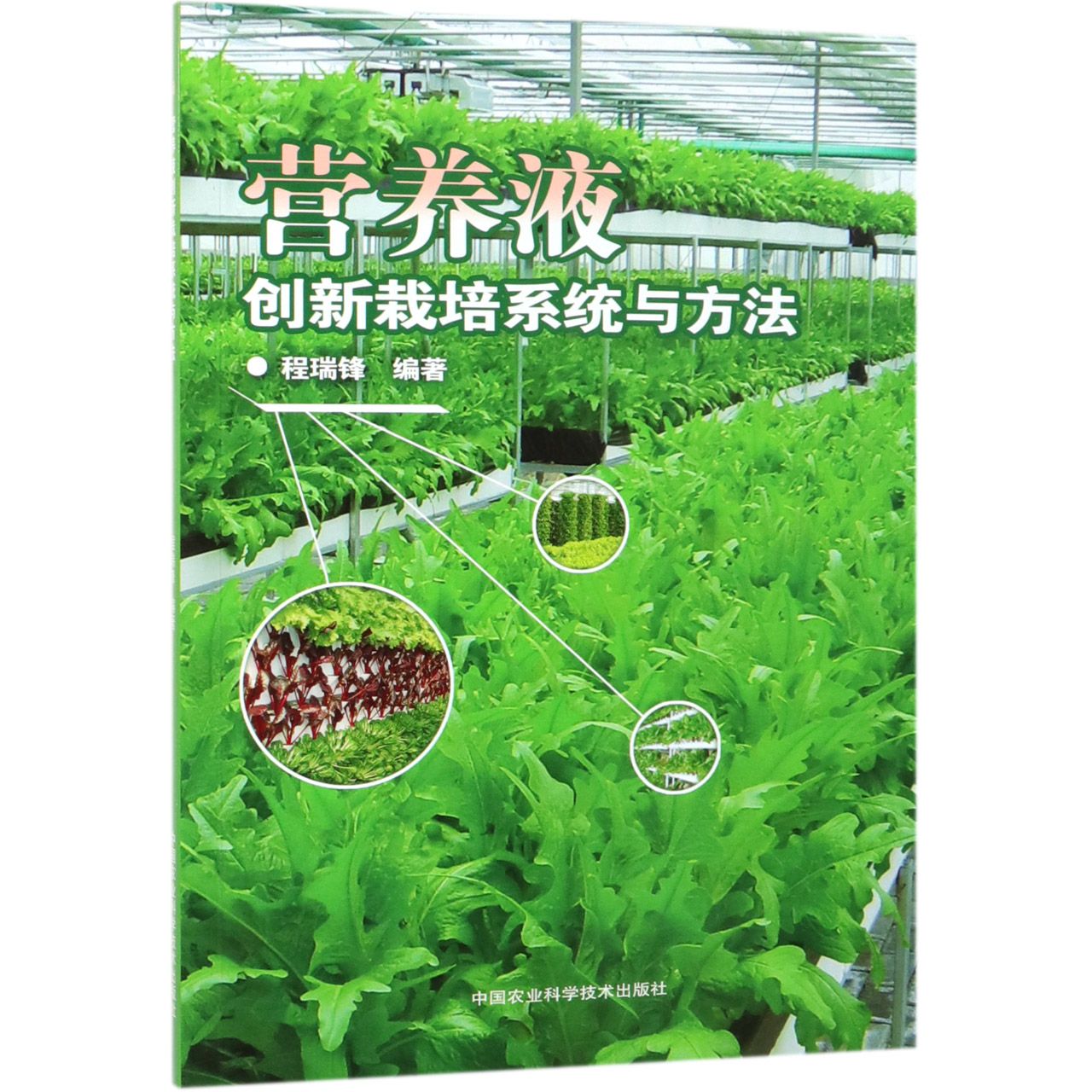 营养液创新栽培系统与方法
