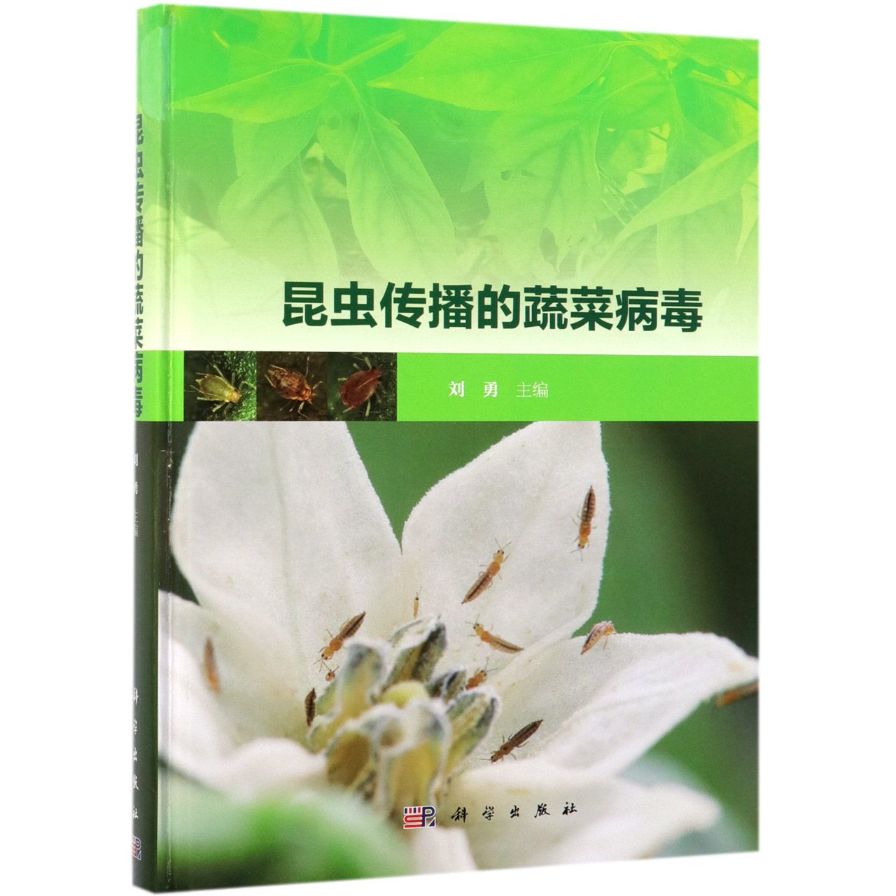 昆虫传播的蔬菜病毒（精）