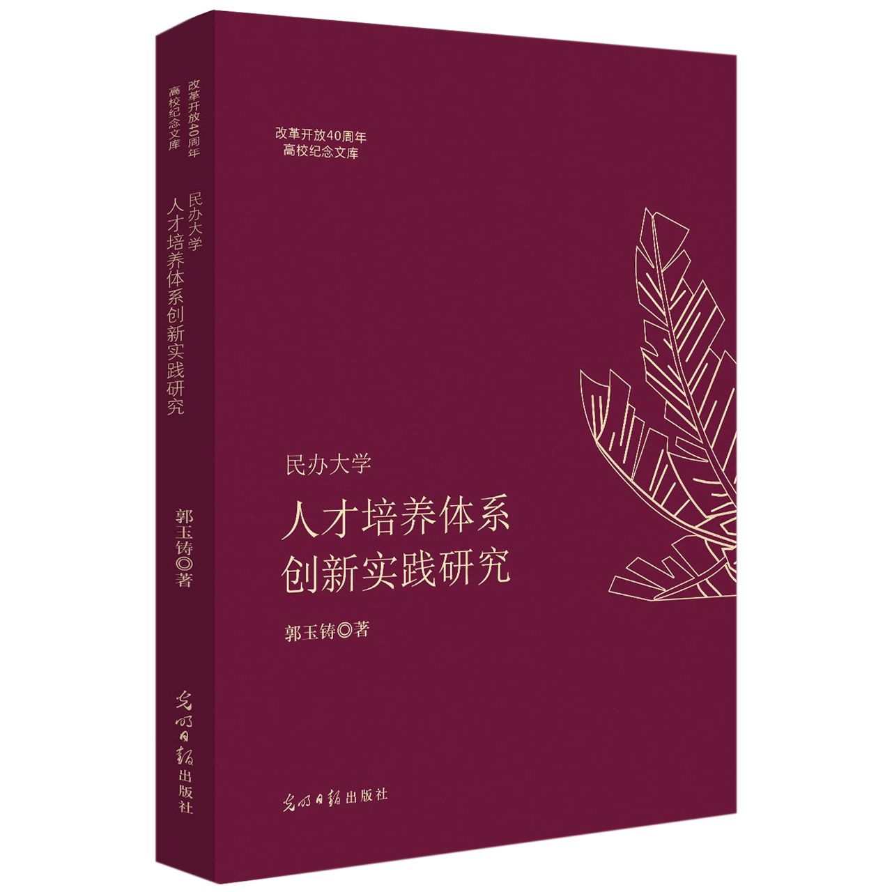 民办大学人才培养体系创新实践研究/改革开放40周年高校纪念文库