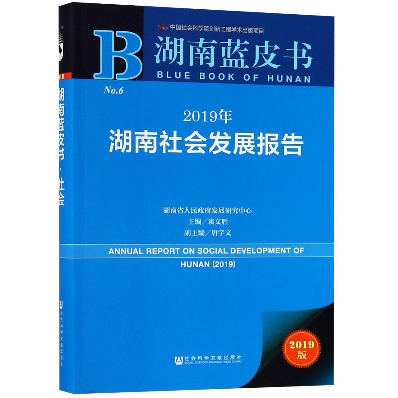 2019年湖南社会发展报告（2019版）/湖南蓝皮书