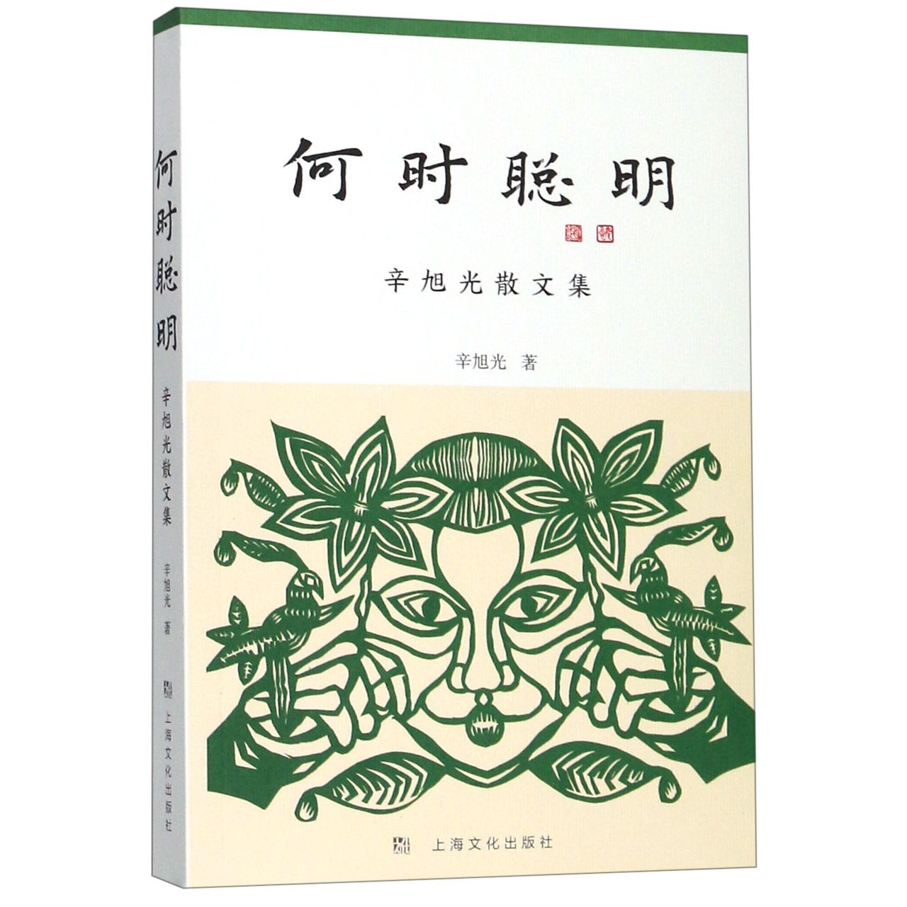 何时聪明(辛旭光散文集)