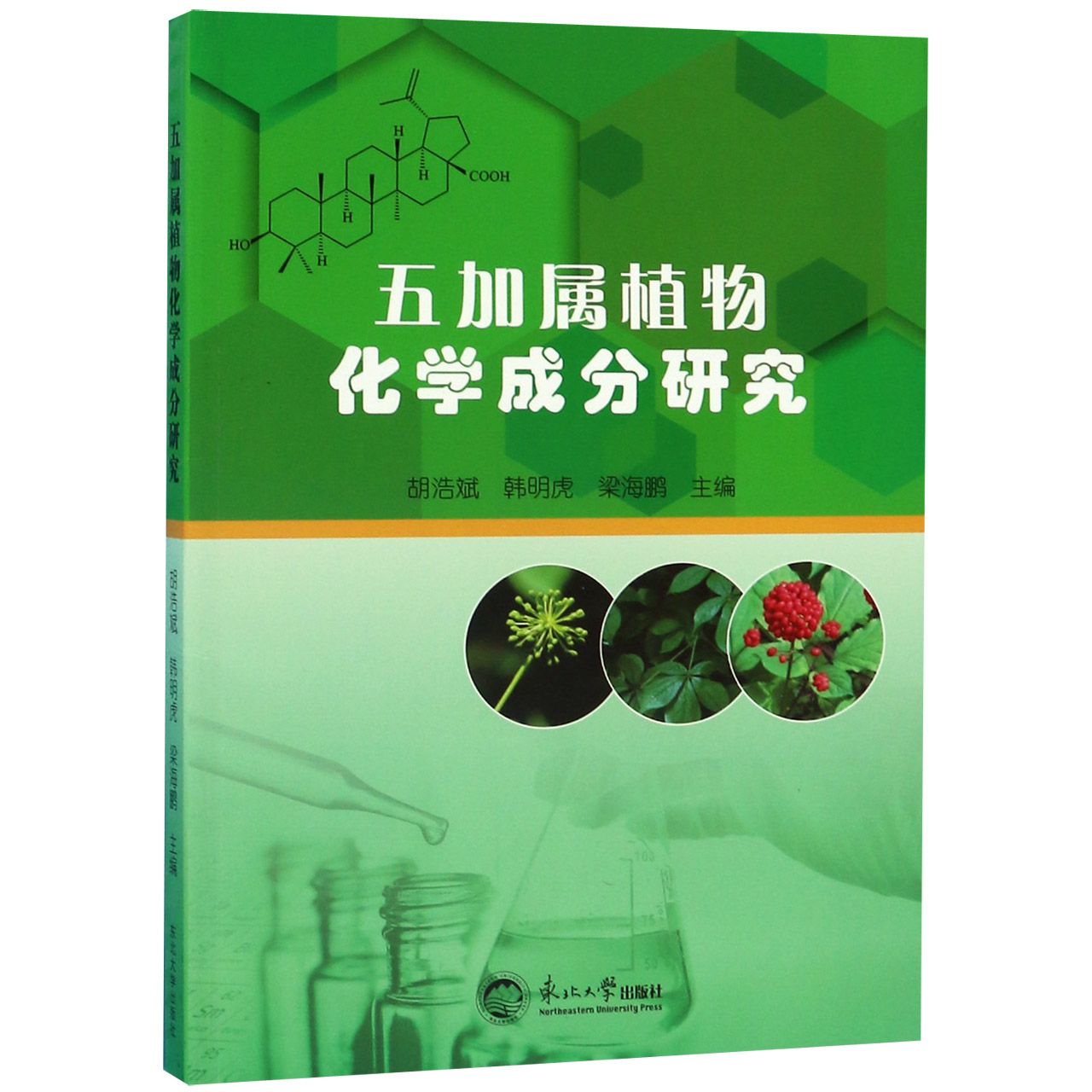 五加属植物化学成分研究