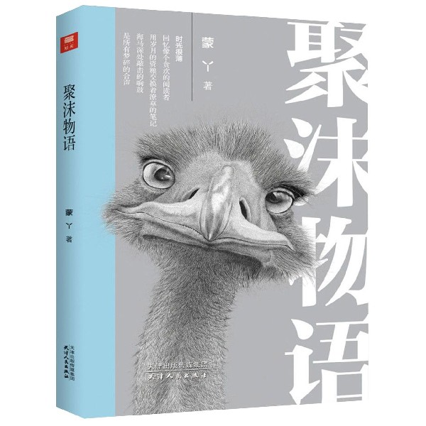 聚沫物语