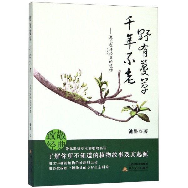 野有蔓草千年不老--生长在诗经里的植物
