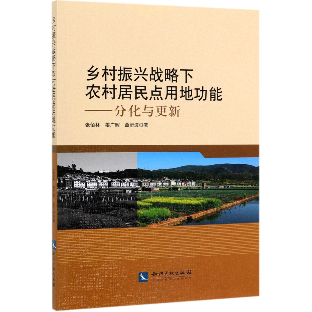 乡村振兴战略下农村居民点用地功能--分化与更新