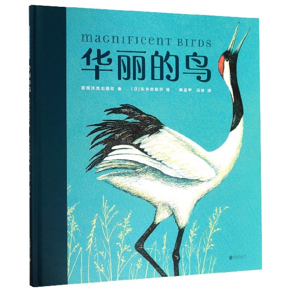 华丽的鸟(精)