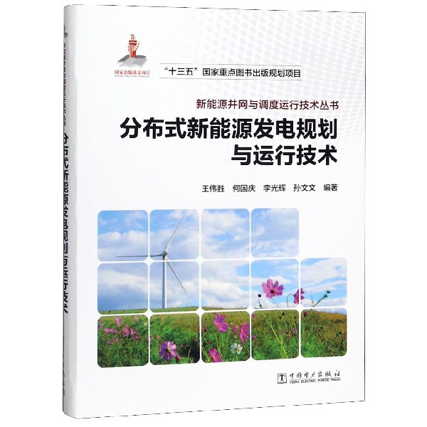 分布式新能源发电规划与运行技术/新能源并网与调度运行技术丛书