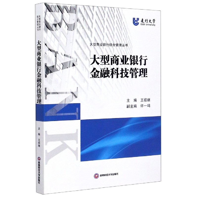 大型商业银行金融科技管理/大型商业银行综合管理丛书