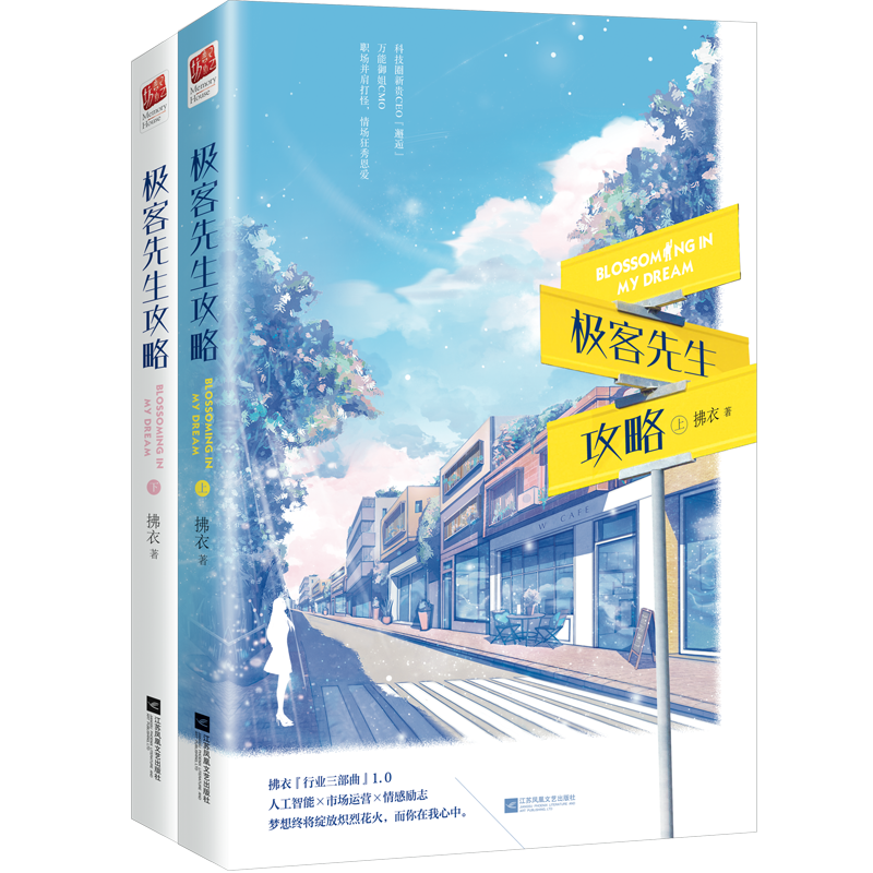 极客先生攻略(上下) 共2册