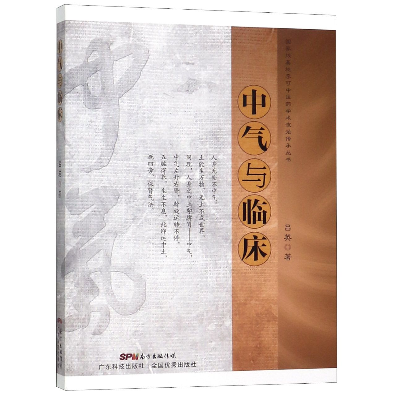 中气与临床/国家级基地李可中医药学术流派传承丛书